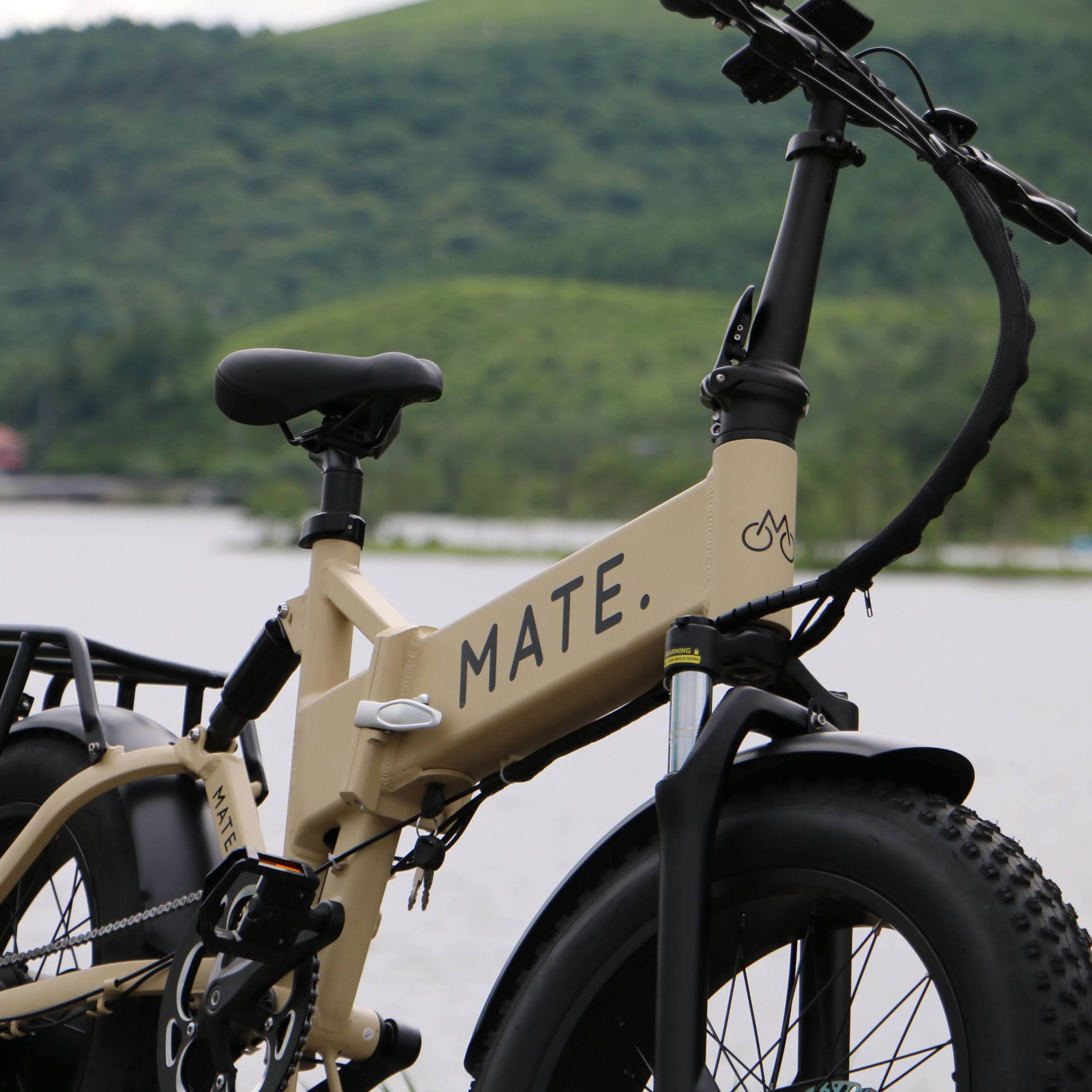 リミッター解除可能】MATE X 250専用カラーディスプレイ - 自転車